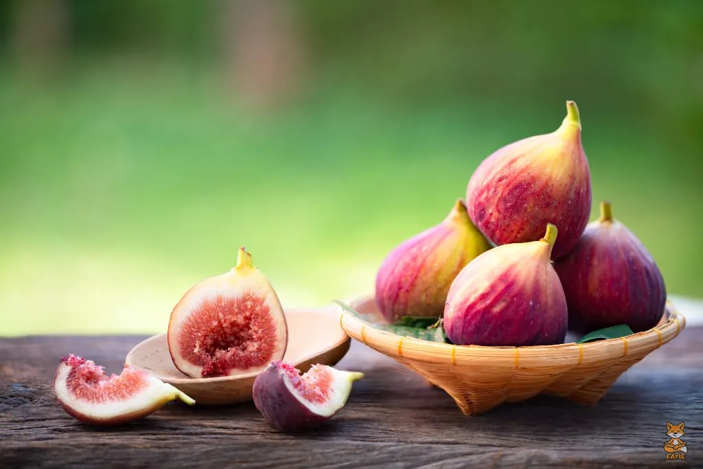 Fayie Dog Figs
