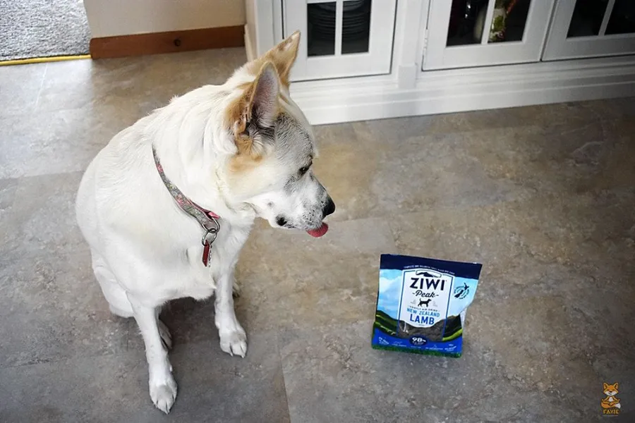 White Dog loves Ziwi